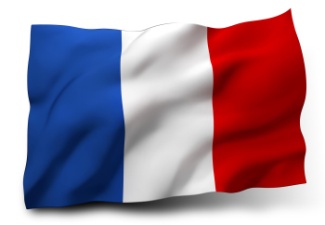 Die französische Sprache Bild I Fahne